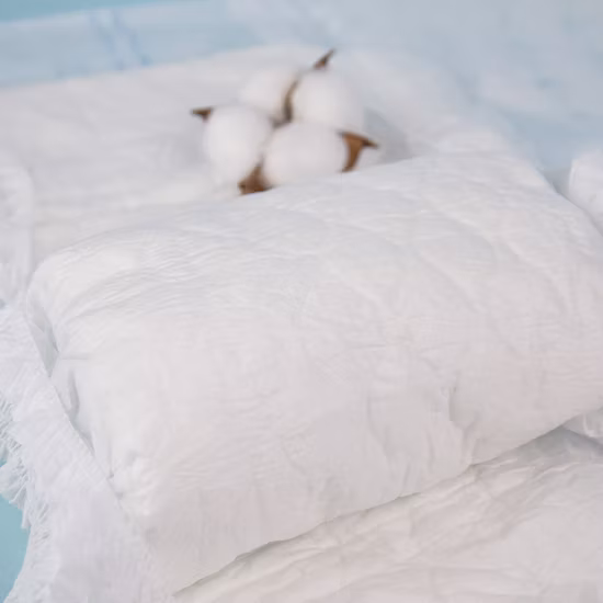 工場出荷時の価格中国 L カスタマイズ挿入パッド日本プリントおむつ大人用おむつ